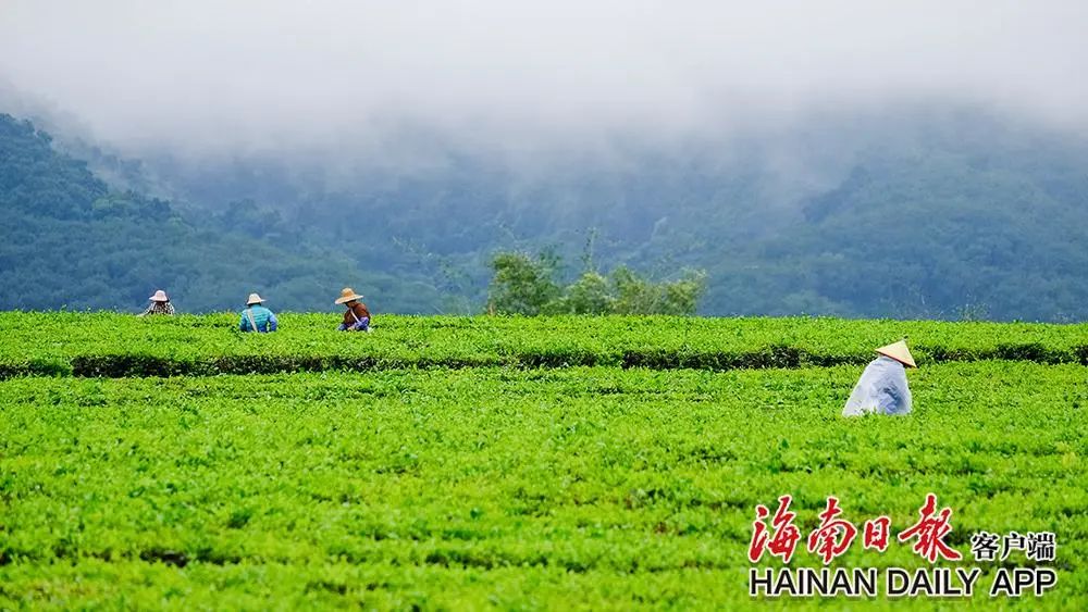 新时代 新征程.jpg 新时代 新征程.jpg